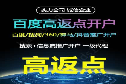 SEM托管公司案例分析：数据驱动决策